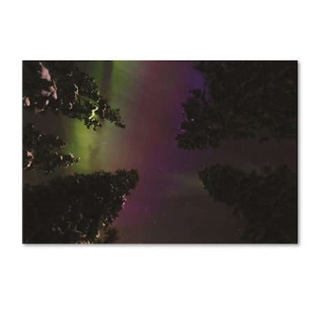 Philippe Sainte-Laudy 'Evening Of Auroras' Canvas Art,30x47